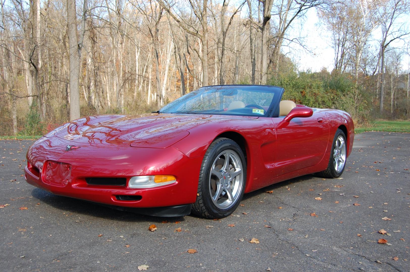 1998 Burgundy /Beige Leather Chevrolet Corvette (1G1YY32G9W5) with an 5.7 liter V8 engine, Automatic transmission, located at 6528 Lower York Road, New Hope, PA, 18938, (215) 862-9555, 40.358707, -74.977882 - Photo#22